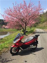 missilemistさんのPCX125