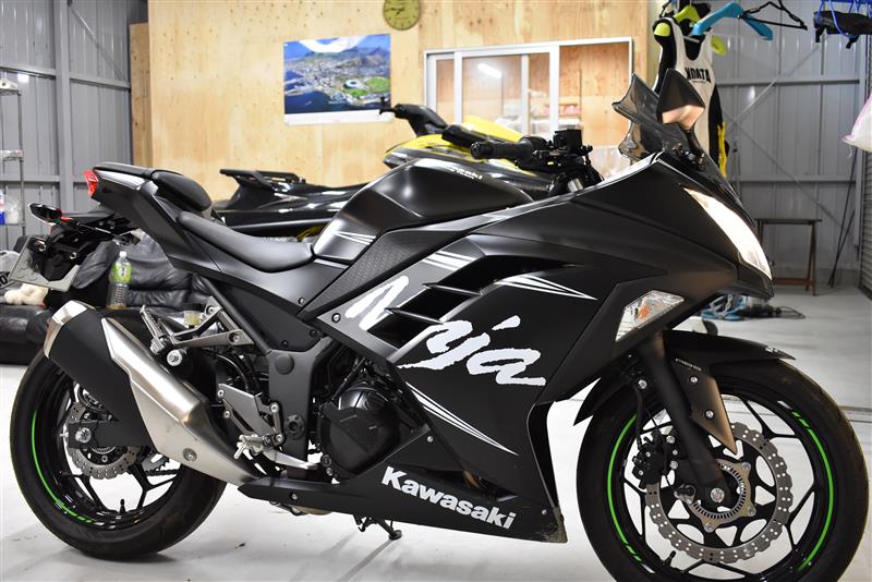 きゃりーぱみぱみさんのNinja 250 ABS KRT Winter Test Edition
