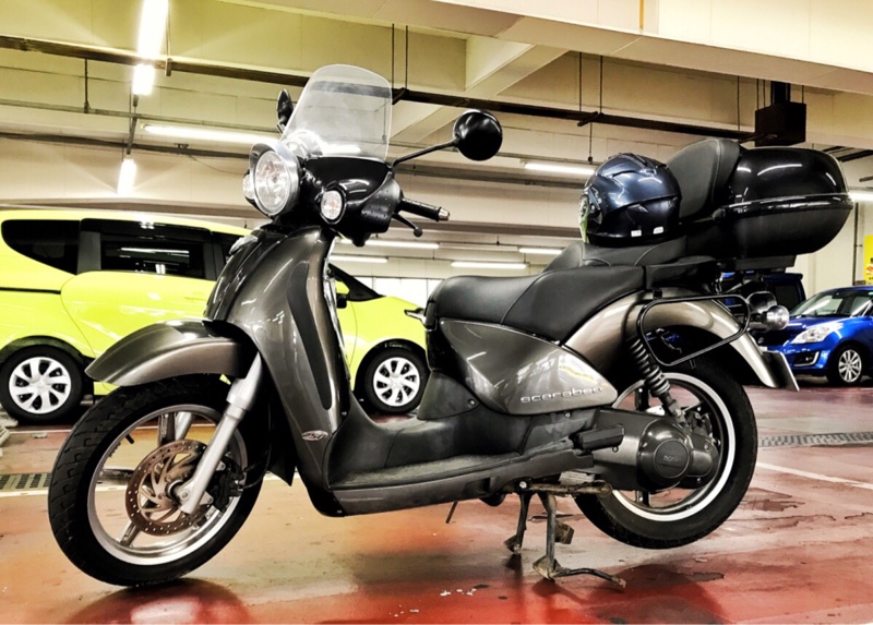 kaz_cx-5さんのスカラベオ250