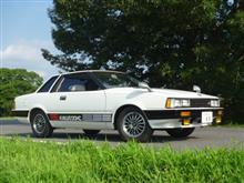 ガゼール 愛車紹介 みんカラ S110