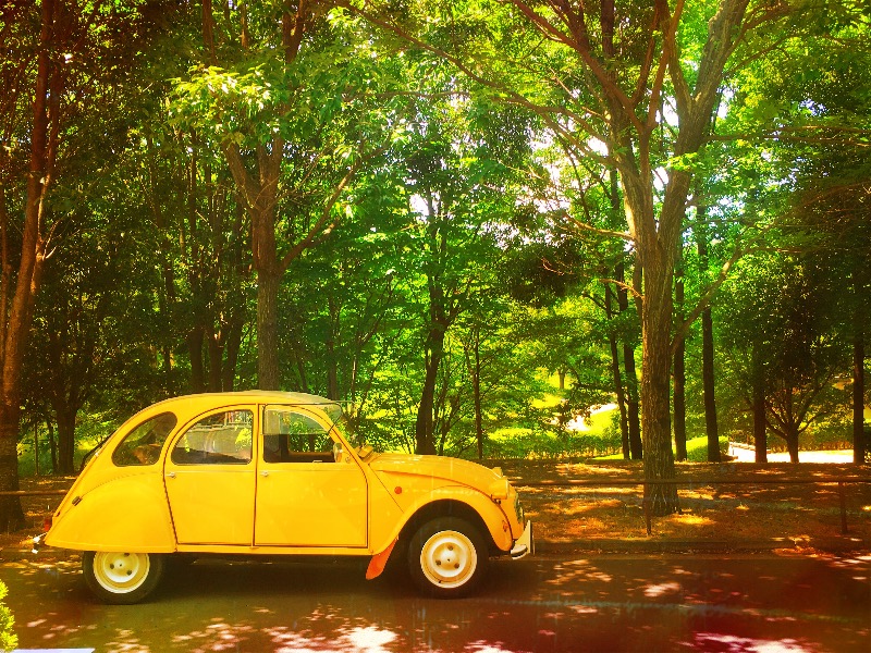 37_Planning(サンナナ)さんの2CV