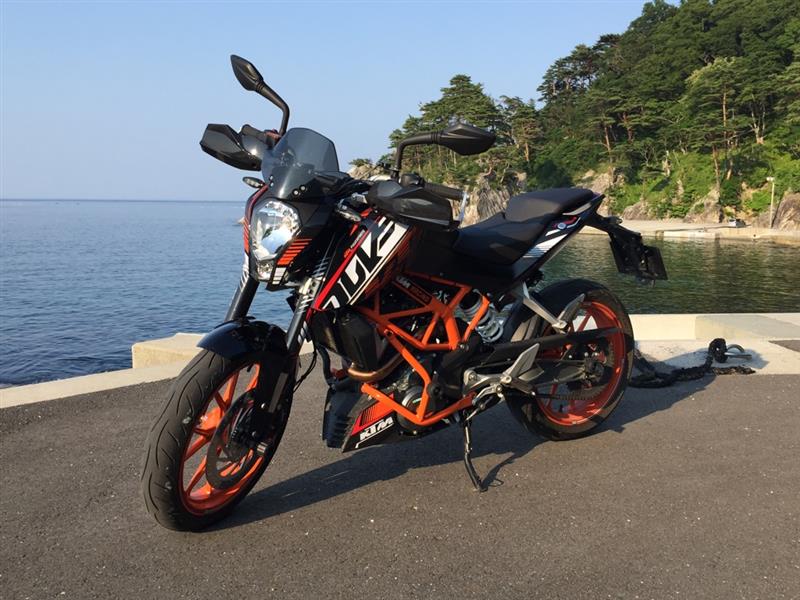 柴ペロさんの250DUKE
