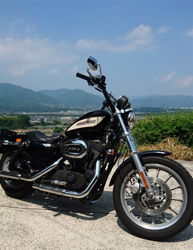 kandogさんのスポーツスターXL1200R(ロードスター)