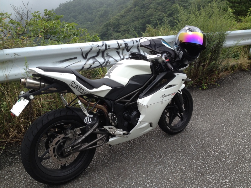 バニラ シェイクさんのメガリ250r