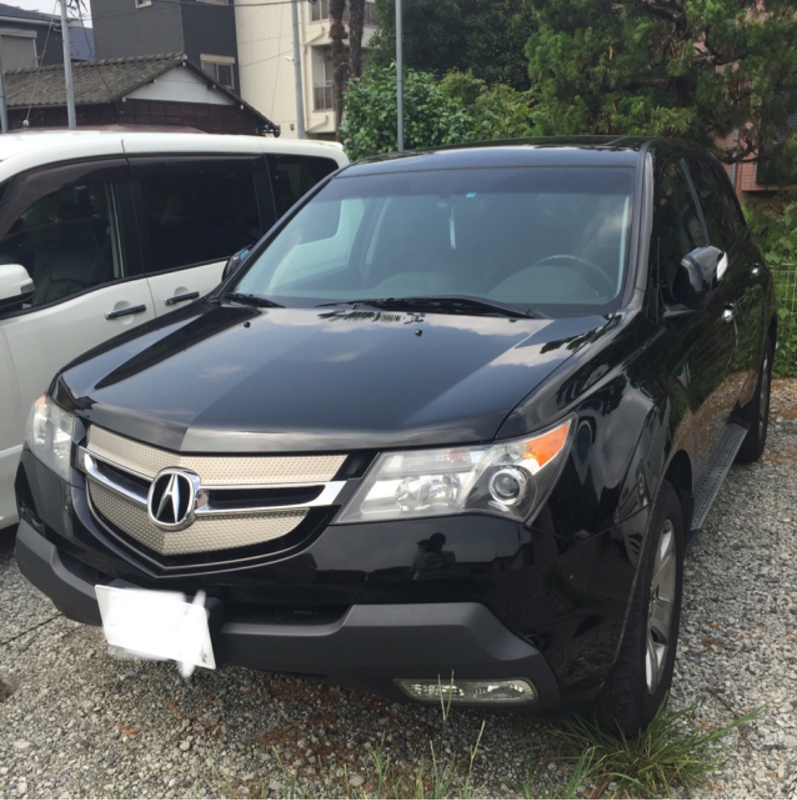 せっしゅうさんのMDX