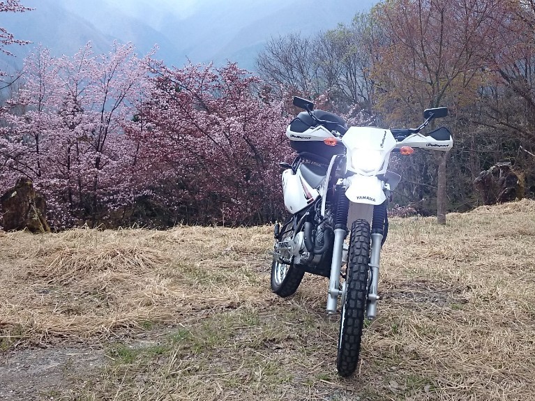 seaside9909さんのXTZ125