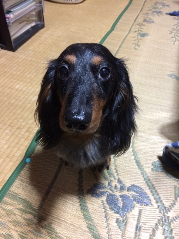 ののんちゃんさんのリラックマ