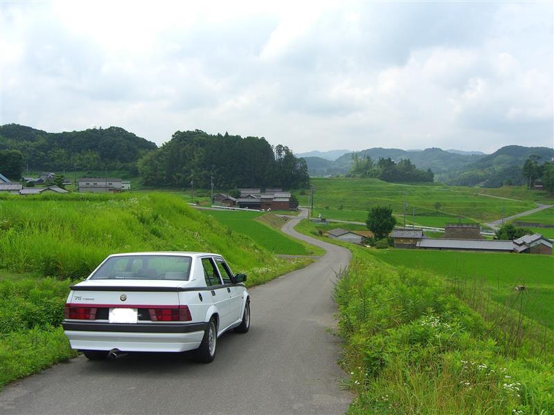 珍客と左利きさんの75