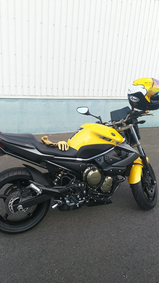 しおんくんさんのXJ6n