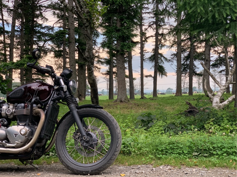 F430-Bonnevilleさんのトライアンフ ボンネビル