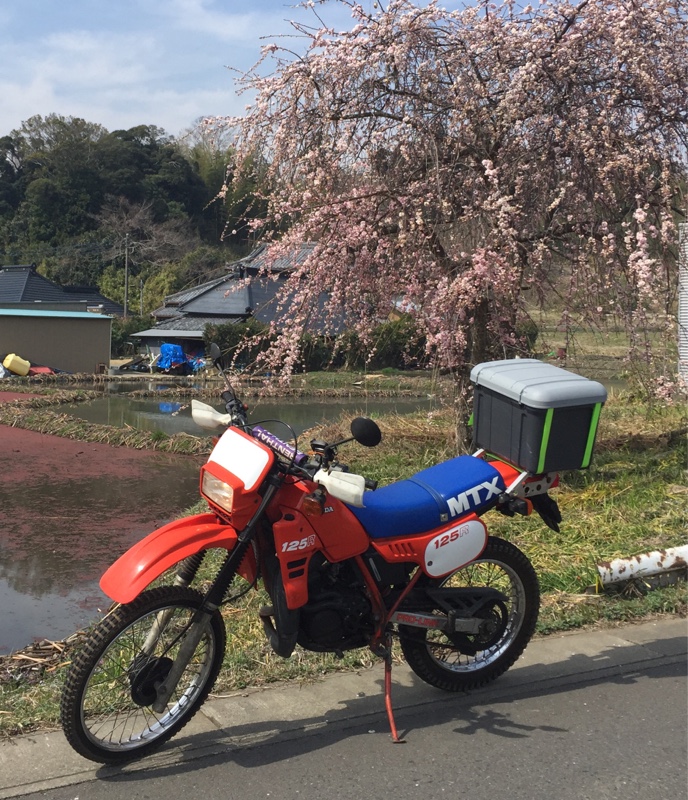thermaeさんのMTX125R