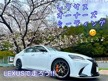 かいのみさんのGS
