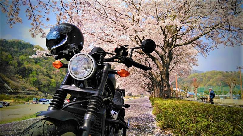 フブケンさんのレブル