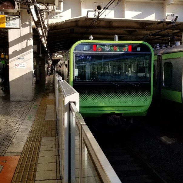 いけ ちゃんさんのT-4