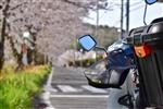 ホンダ スーパーカブ50