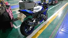 ｼﾝﾔ-F.T.HさんのYZF-R1M リア画像