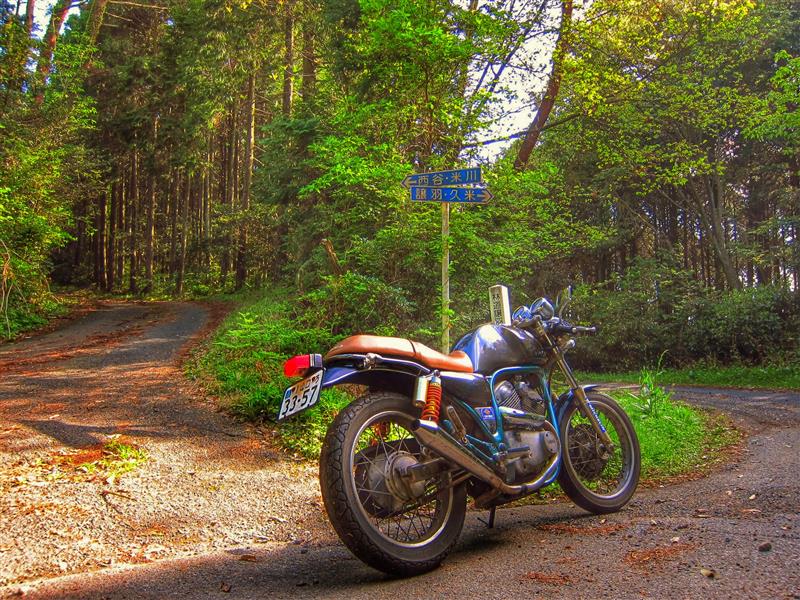 べじょりーたさんのSRV250