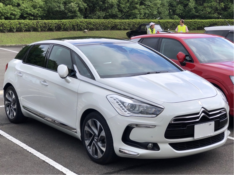 MIZOさんのDS5