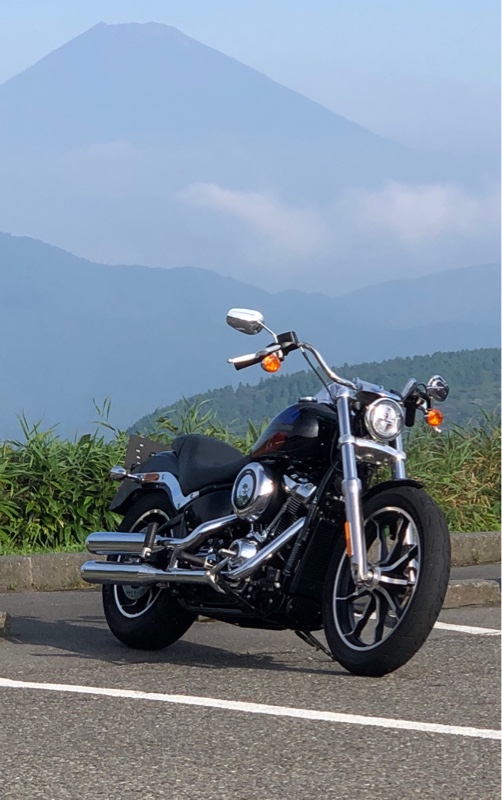 ND55さんのソフテイルローライダー