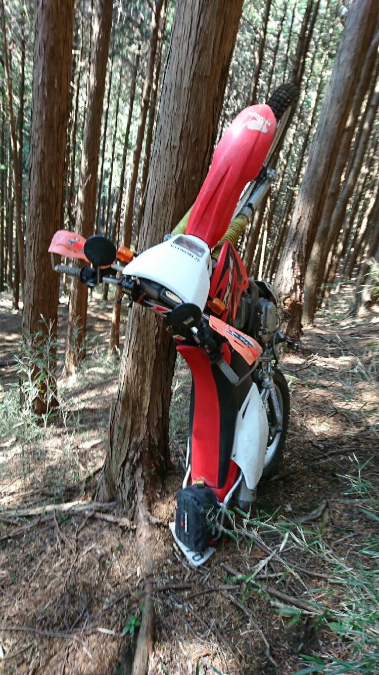 rick_ruruさんのXR230