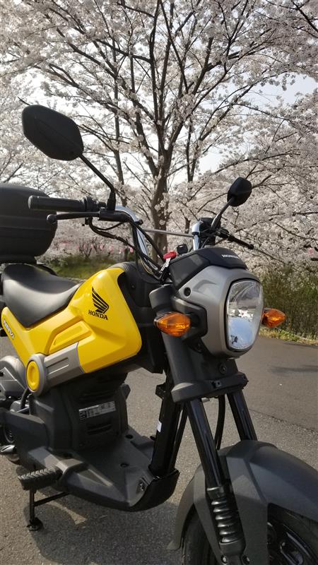 ポリゴトーさんのNAVI110