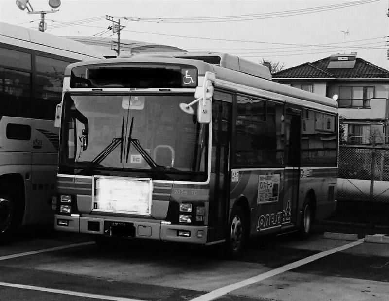 dio110jf31さんのエルガ