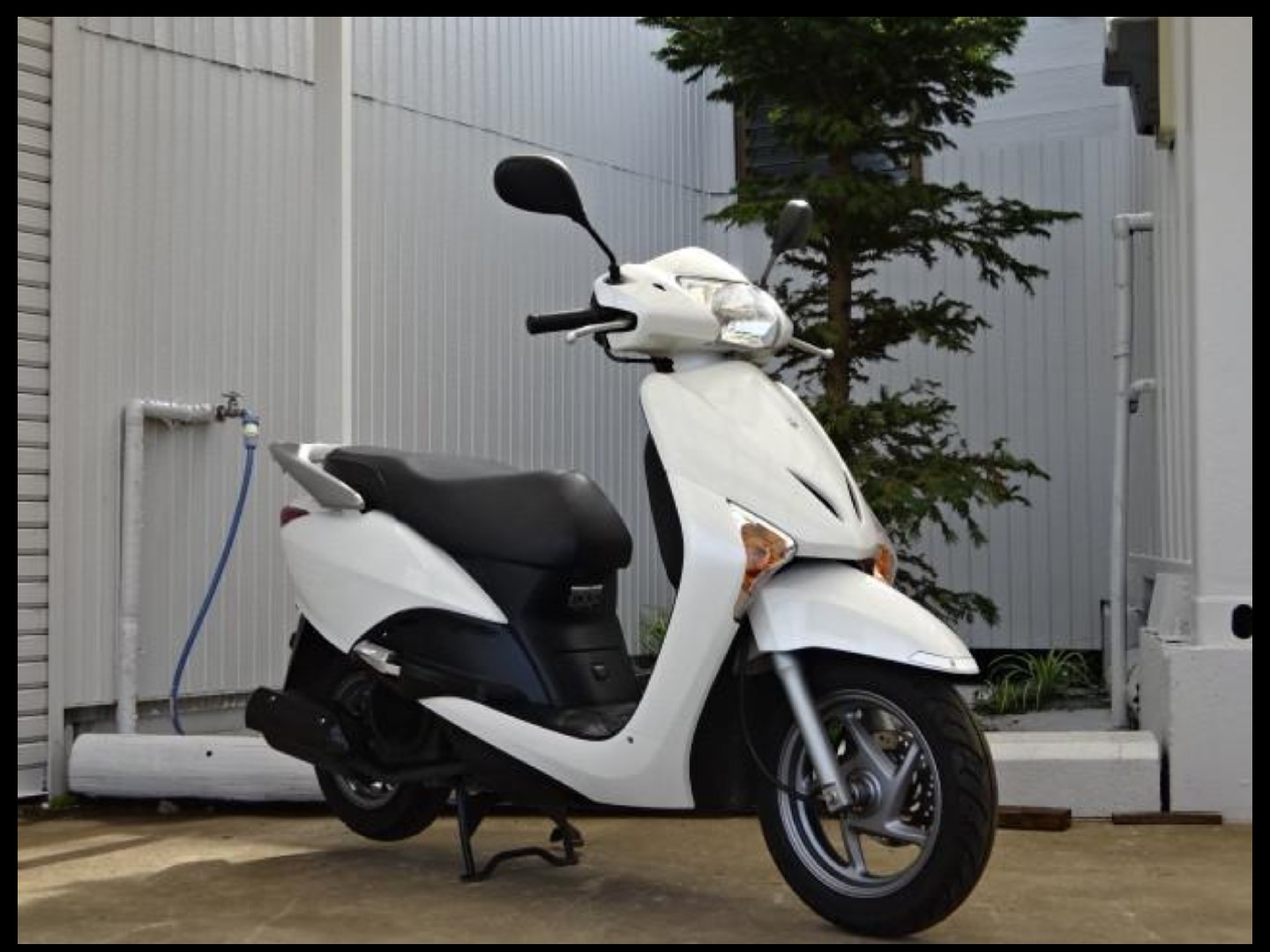リードex ホンダ アッキーrの愛車 みんカラ