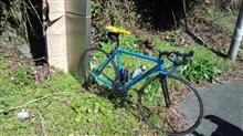 ヤシ口さんのCinelli