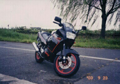 モチネコさんのGPX250R-2