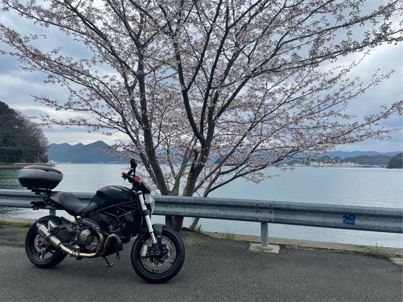 こむらがえりさんのモンスター821ダーク