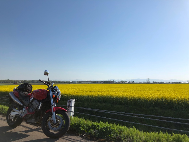 KMI(RJFM)さんのホーネット900