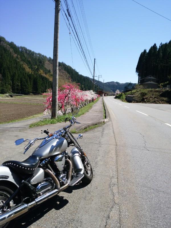 そらsorさんのXV1600 ワイルドスター