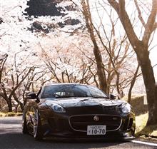 ねこ_さんのF_TYPE_COUPE