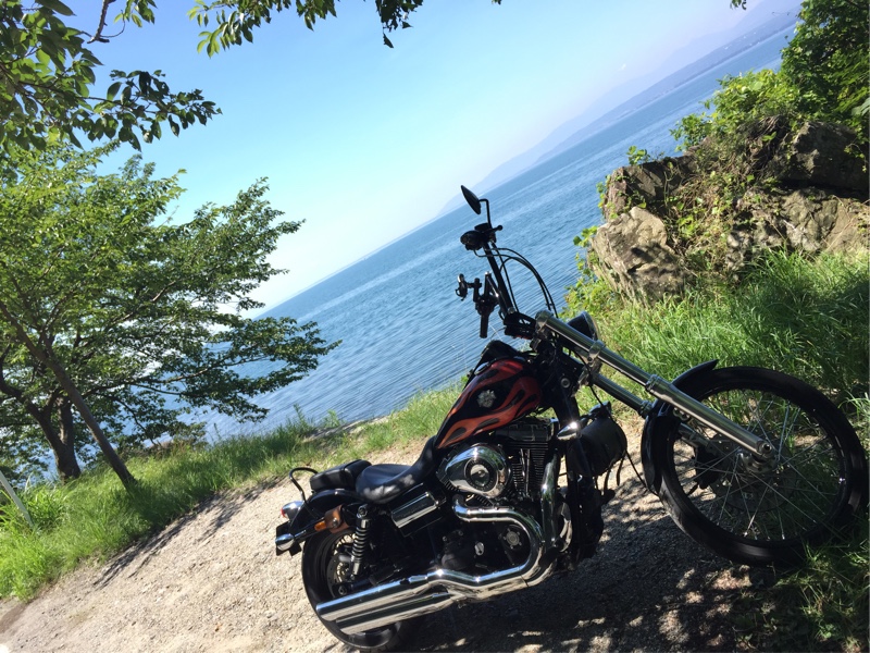 harley_fxdwgさんのダイナ ワイドグライド