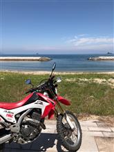 ロゴ・ダウさんのCRF250L
