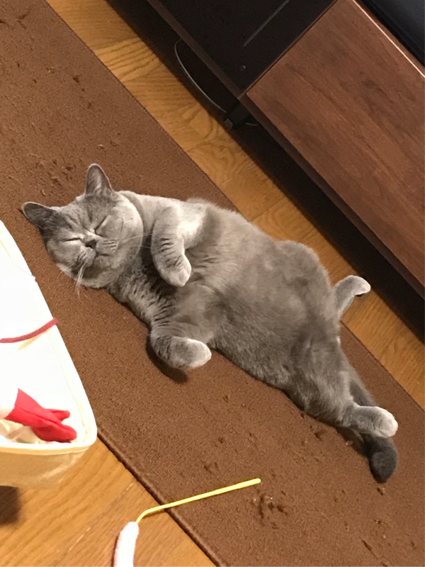 @だいふくさんのその他