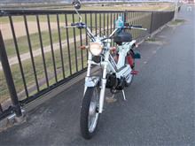 ネコノタマシマシマさんのclassic2
