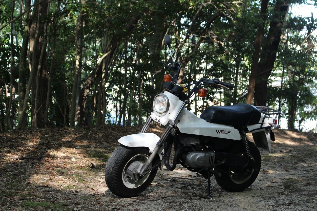 T,SeiyaさんのRT50/ウルフ50(LA11A)