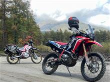 masayanさんのCRF250RALLY メイン画像