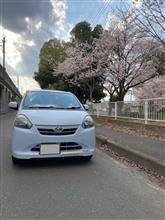 飛鳥LJ1971さんのMIRA_E-S