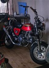はらたいらさんに3000点さんのMONKEY_Z50J-1