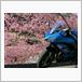 カワサキ NINJA650