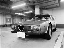 イタリーくんさんのJunior_Z