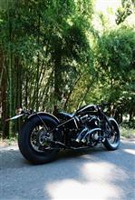 cobra13さんのロードホッパー メイン画像