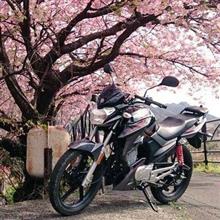 イチノセタクミさんのYX125DX