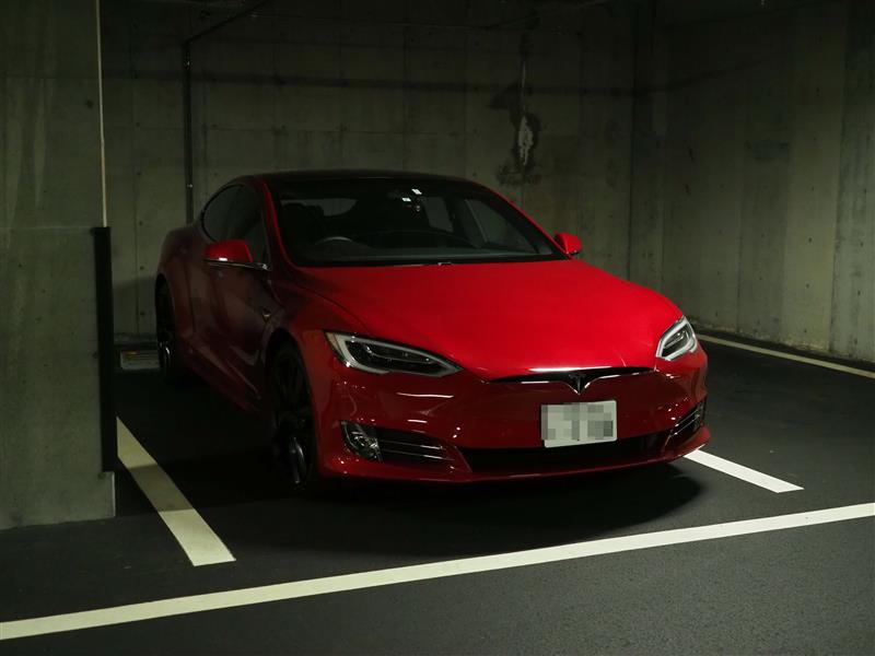 リーデンブロックさんのモデルS