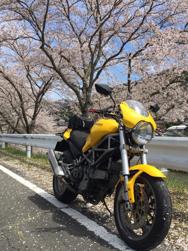 よっすぃーのガレージさんのモンスター900S