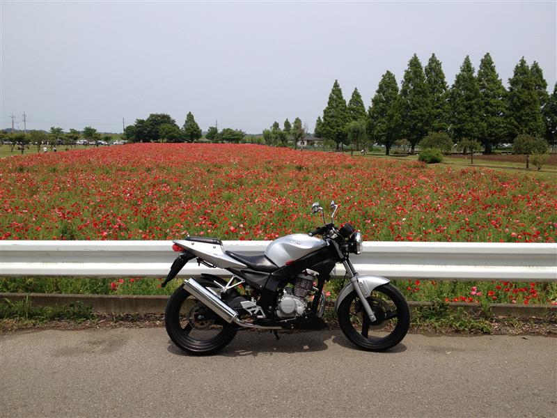 nc_VTさんのロードウィン125