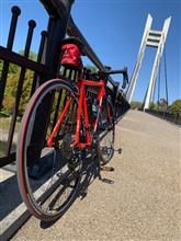 springmoonさんのFOCUS_IZALCO_RACE_AL_SORA