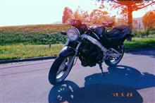 Unic-NaLさんのCOBRA250